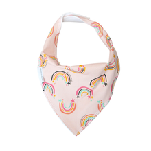 Load image into Gallery viewer, Rainbow Dribble Bib