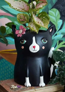 Black Cat planter