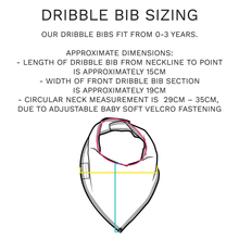 Load image into Gallery viewer, Rainbow Dribble Bib