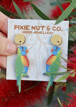 Load image into Gallery viewer, Rainbow Lorikeet  Earrings