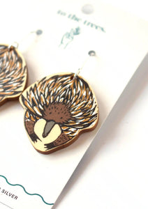 Echidna Dangles