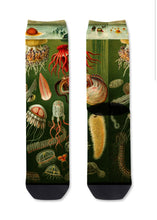 Load image into Gallery viewer, Red Fox Sox - size L - Tentacle Spectacal