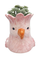 Load image into Gallery viewer, Perdy Parrot Planter - Pink