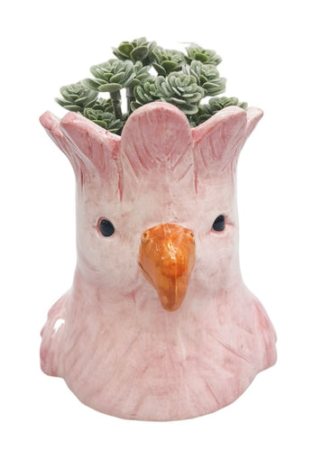 Perdy Parrot Planter - Pink