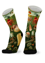 Load image into Gallery viewer, Red Fox Sox - size L - Tentacle Spectacal