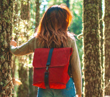 Load image into Gallery viewer, Red Backpack