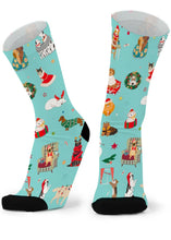 Load image into Gallery viewer, Red Fox Sox - size M - Santa Paws
