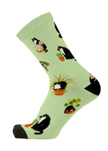 Load image into Gallery viewer, Red Fox Sox - size M - Plant Cat