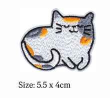 Load image into Gallery viewer, Iron on Patch