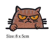 Load image into Gallery viewer, Iron on Patch