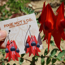 Load image into Gallery viewer, Sturt Desert Pea Earrings