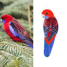 Load image into Gallery viewer, Crimson Rosella Pin