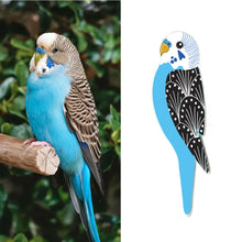 Load image into Gallery viewer, Budgie Pin