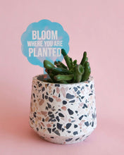 Load image into Gallery viewer, Plant stake - Bloom where you are planted