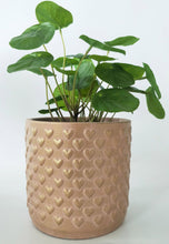 Load image into Gallery viewer, Heart planter - Pink